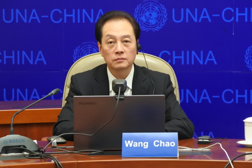 “推动全球发展倡议，共创美好未来”国际研讨会成功举行